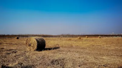 Kakadu Casino App Mobile